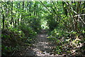 Footpath, Toll Wood