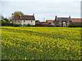 Across the field to Salutation Farm