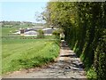 Access road to Stanford Bishop church