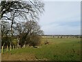 Wood and fields near Rutherend