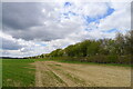 Field alongside the Grantham-Skegness 