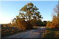 Heathland, Hawley