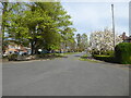 View from the blind end of Silverdale Avenue, Worcester