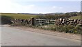 Field gateway on NW side of road NE of small stream near Faugh Head