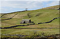 Grazing and stone barn, Swaledale