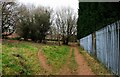 Footpath on edge of Victoria Farm Heath, Kidderminster, Worcs