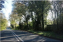 SU5137 : Winchester Road, Micheldever by David Howard