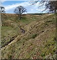 Moorland valley