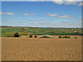 View north from Cuddesdon Road