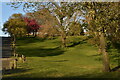 Evening light on open space beside Thorntree Road