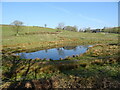 SD5883 : Pond near Kitridding Farm by JThomas