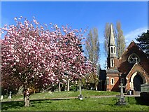 TQ4577 : Chapel and blossom in Woolwich Old Cemetery by Marathon