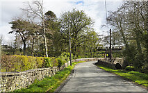 NY0723 : Road approaching bridge over River Marron by Trevor Littlewood