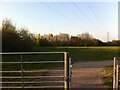 Pylon seen from entrance to Prologis Country Park from Pilgrims Walk