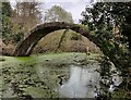 Pond in Sandbourne Wood