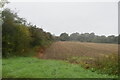 Farmland by Cowbridge Hall Rd