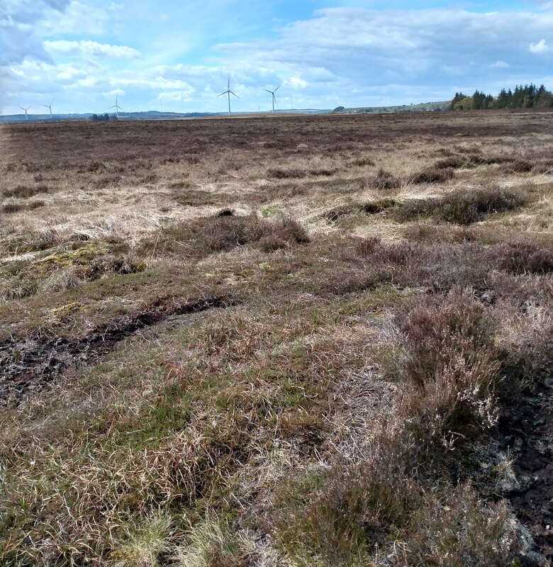 Black Moss © Jim Smillie :: Geograph Britain and Ireland