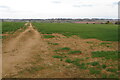 Bridleway to Northampton Road