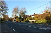 SU6332 : Winchester Road, Ropley Dean by David Howard