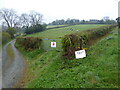 Field with sheep at Bentlawnt