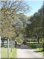 SX9783 : Cyclist by the deer fence in Powderham Park by David Smith