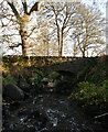 Rose Bridge, Culburnie Burn