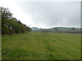 Field edge footpath near Bromlow Callow