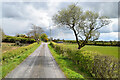 Raneese Road, Garvallagh / Agharonan