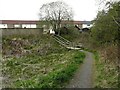 Path, bridge and steps