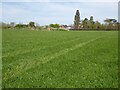 Field beside Southwick Park