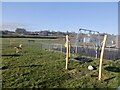 Playground, Avonbridge