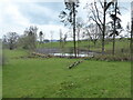 New pond under excavation at Knotmoor