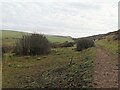 TV5695 : South Downs, looking west from Horseshoe Plantation by PAUL FARMER