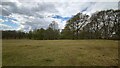 Grass area on Mousehill Down