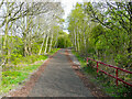 SE3204 : The Trans-Pennine Trail east of the M1, Dodworth by Humphrey Bolton