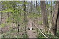 Footbridge in Smerrick?s Copse