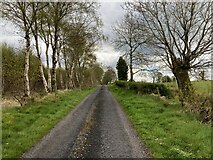 H5170 : Deroar Road by Kenneth  Allen