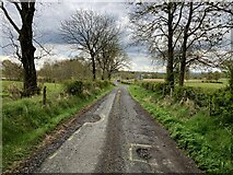 H5170 : Potholes along Deroar Road by Kenneth  Allen