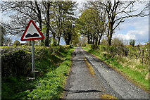 H5170 : Bumpy road sign along Deroar Road by Kenneth  Allen