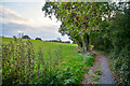 Nettlestone : Footpath