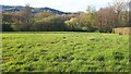 Field north of Steep Farm