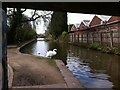 Coventry Canal, looking south from under the Old Church Road bridge, Foleshill