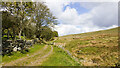 Hill road climbing past Longlands