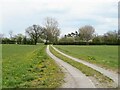 Track to Wintofts Farm