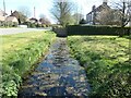 Chalk stream, Wold Newton