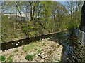 River Ryburn downstream from Watson Bridge