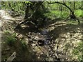 SP5101 : Woodland stream by Lower Sugworth Copse by Steve Daniels