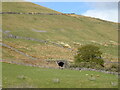 Railway bridge on the Settle to Carlisle Railway, Hall Hill