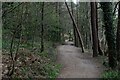 Footpath beside the Upper Roddlesworth Reservoir