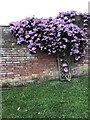 Garden wall in Knowle Drive